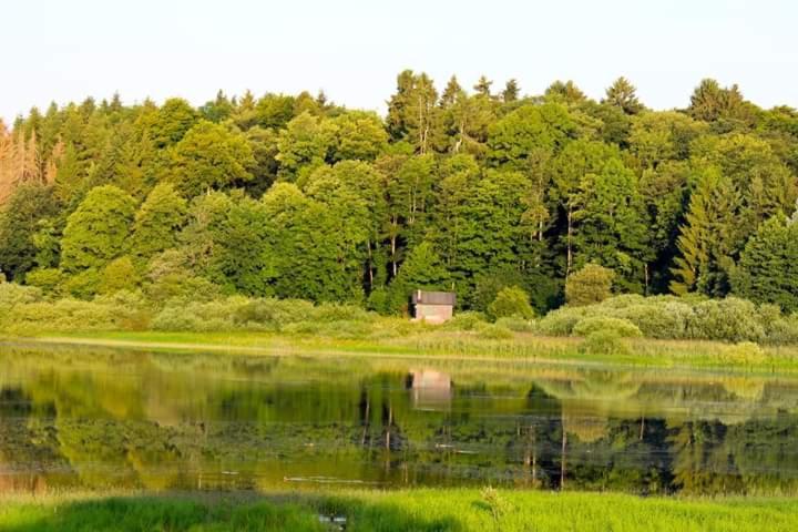 Ferienhaus Mauer Krombachtalsperre, Exclusive Nebenkosten Strom Driedorf 외부 사진